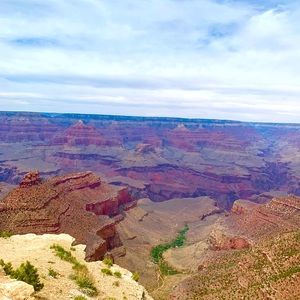 Meet your Posher, Dawn😁